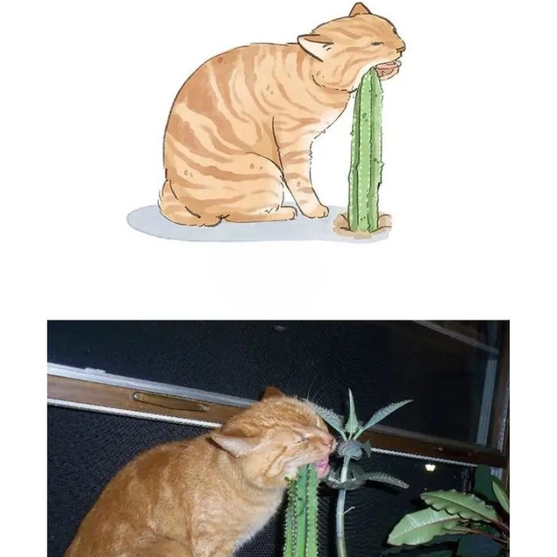 Vẽ mèo meme đáng yêu luôn thu hút sự chú ý và thích thú của mọi người