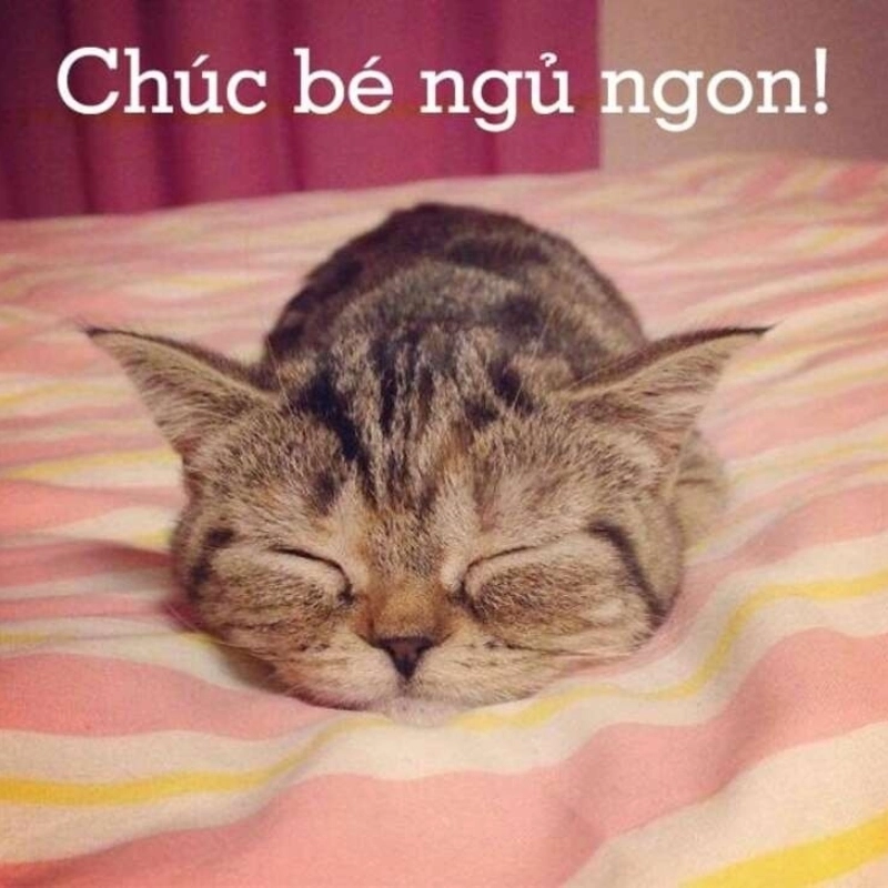 Chúc người yêu ngủ ngon qua meme chúc ngủ ngon ny