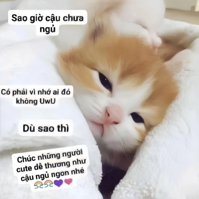Một chút ngọt ngào và sến súa với meme chúc ngủ ngon sến
