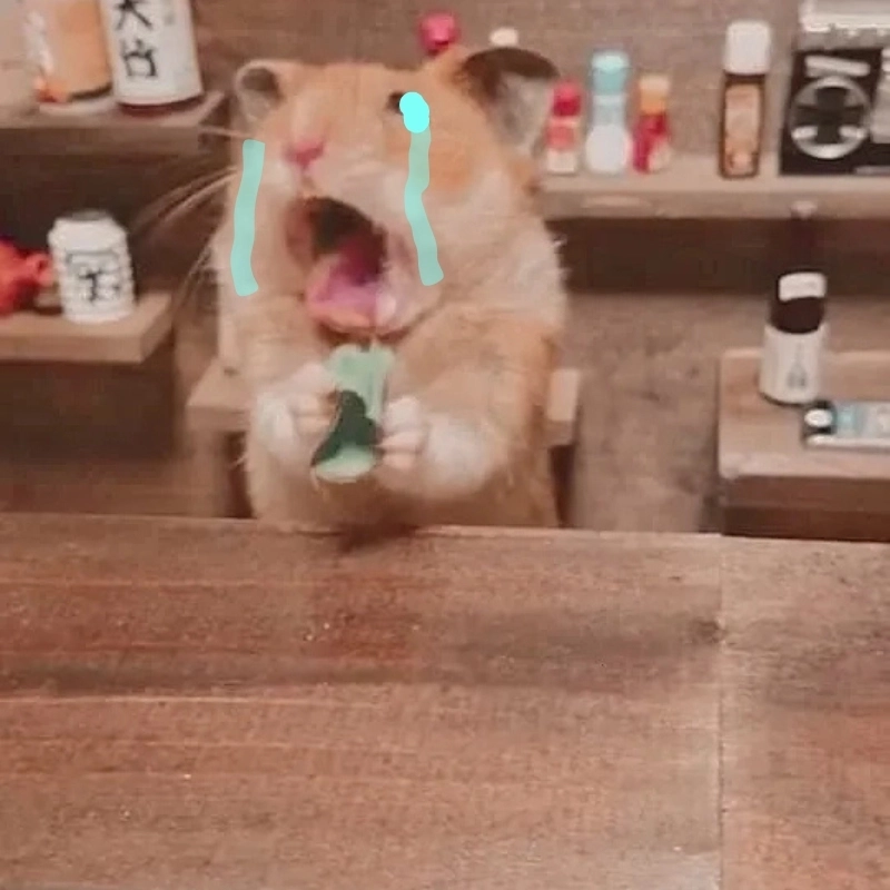 Meme chuột hamster khóc gây cười vì sự ngây thơ và hài hước
