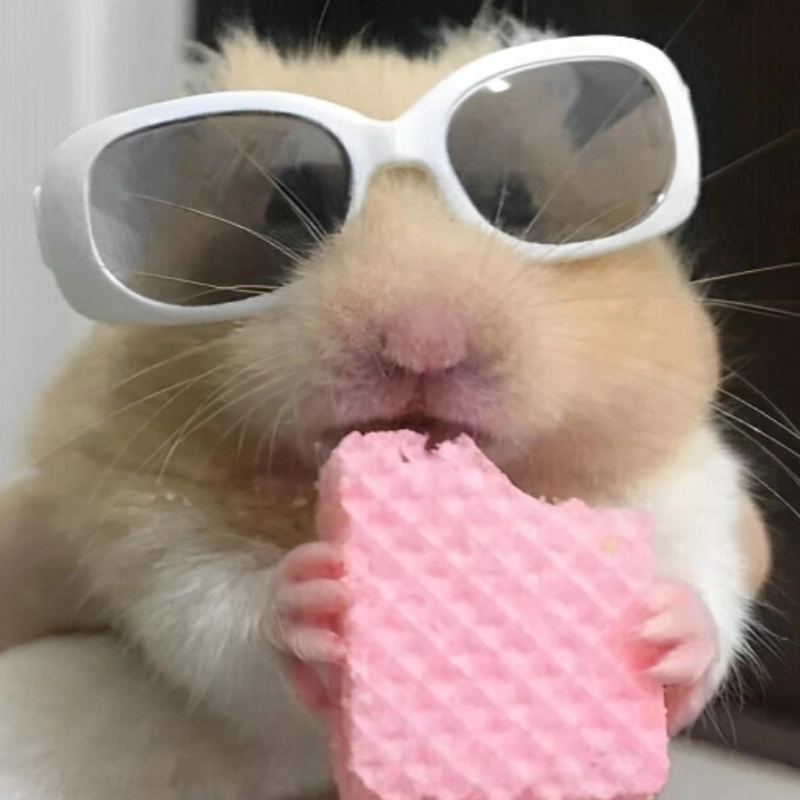 Meme chuột cute luôn là lựa chọn hoàn hảo cho những ai yêu thích sự dễ thương