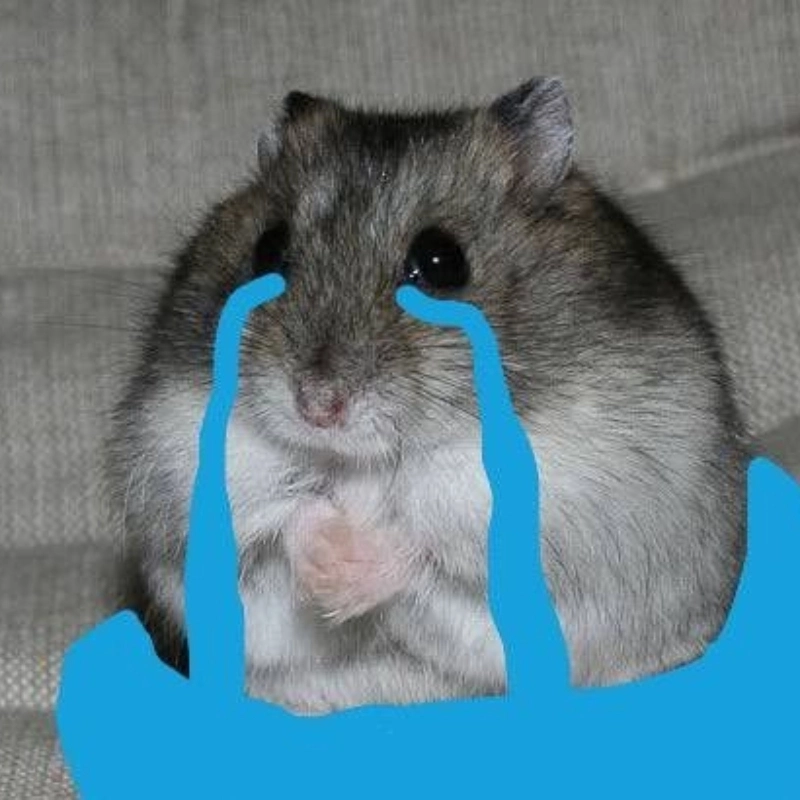 Meme chuột khóc mang lại cảm giác buồn cười và dễ thương trong một khoảnh khắc