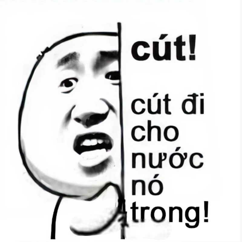 Meme cà khịa phản ánh những cuộc tranh luận khôi hài và những pha