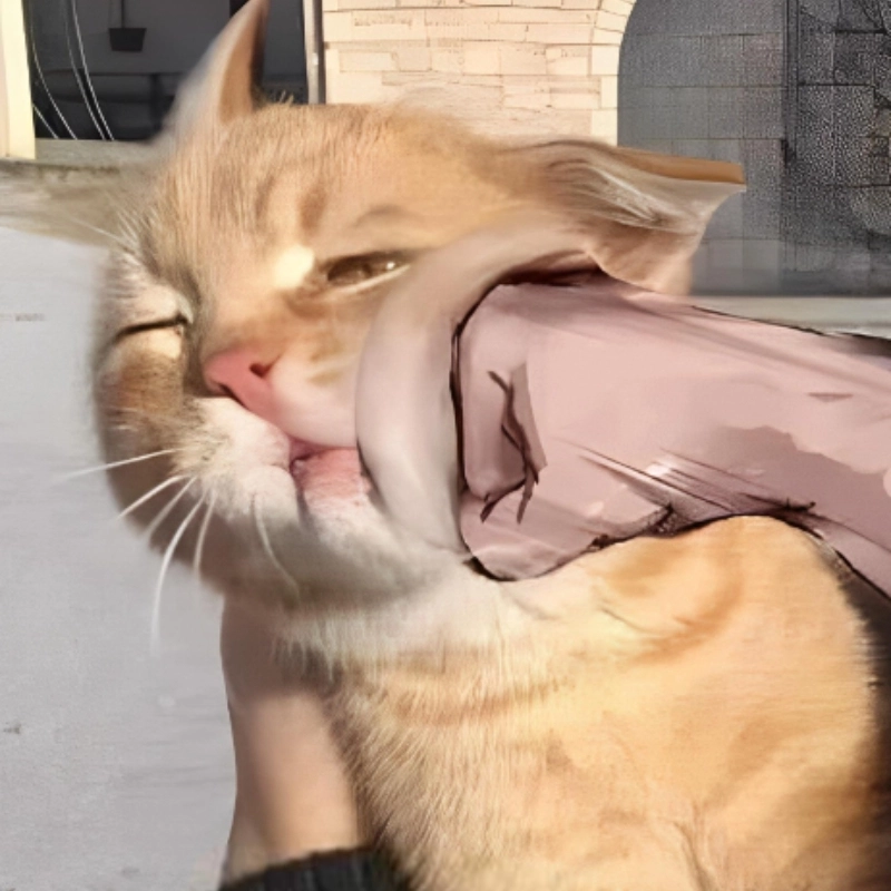 Meme mặt hài thể hiện những biểu cảm hài hước, tạo nên những phút giây thư giãn trong cãi vã