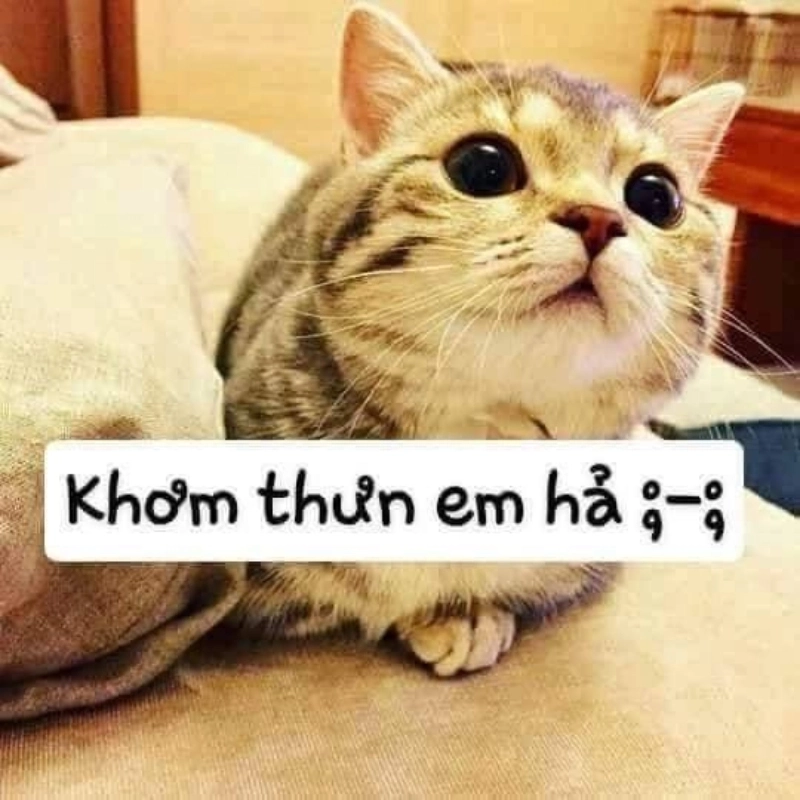 Meme thương em đầy cảm xúc dành cho người bạn yêu thương
