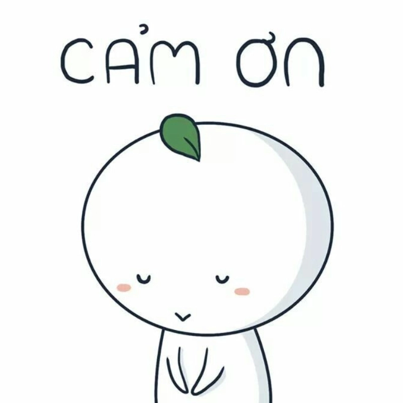 Meme cảm ơn dễ thương, gửi lời tri ân đầy ngọt ngào