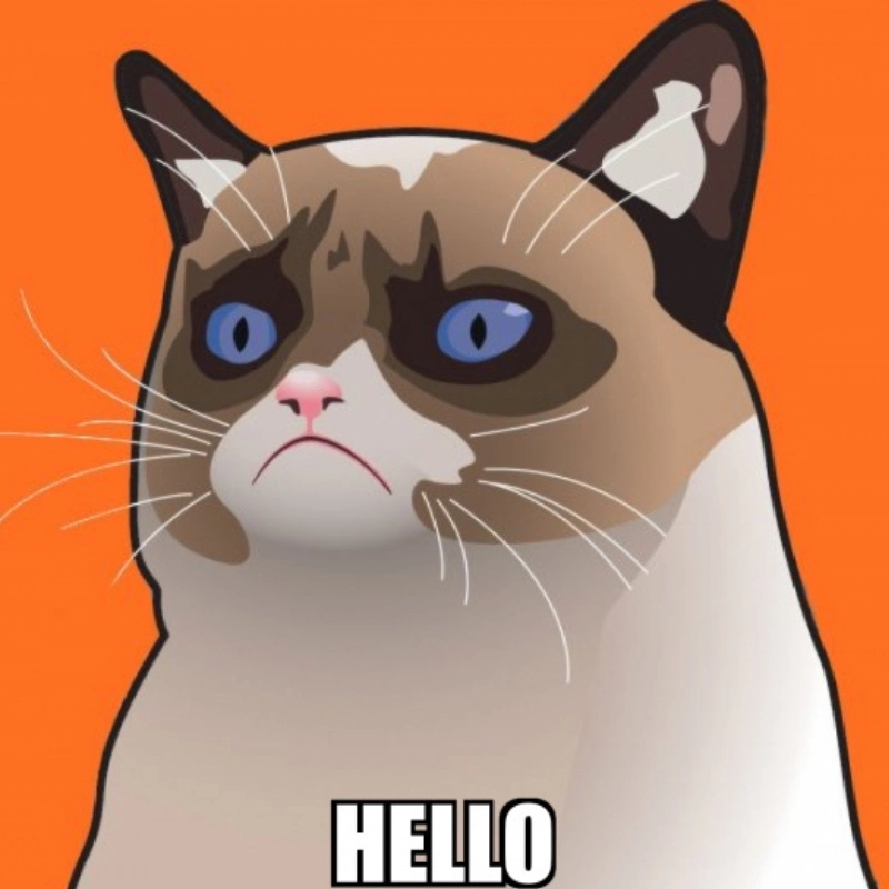 Cat hello meme khi boss mèo chào hỏi cũng đầy thần thái