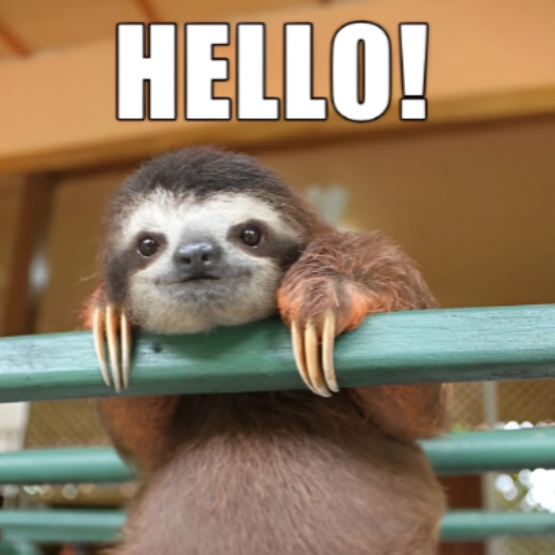 Hello memes cực chất, chào ngày mới với nụ cười