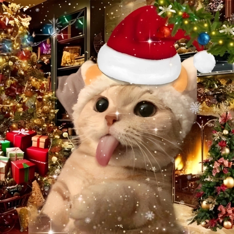 Không khí Giáng sinh tràn ngập trong meme mèo noel cute