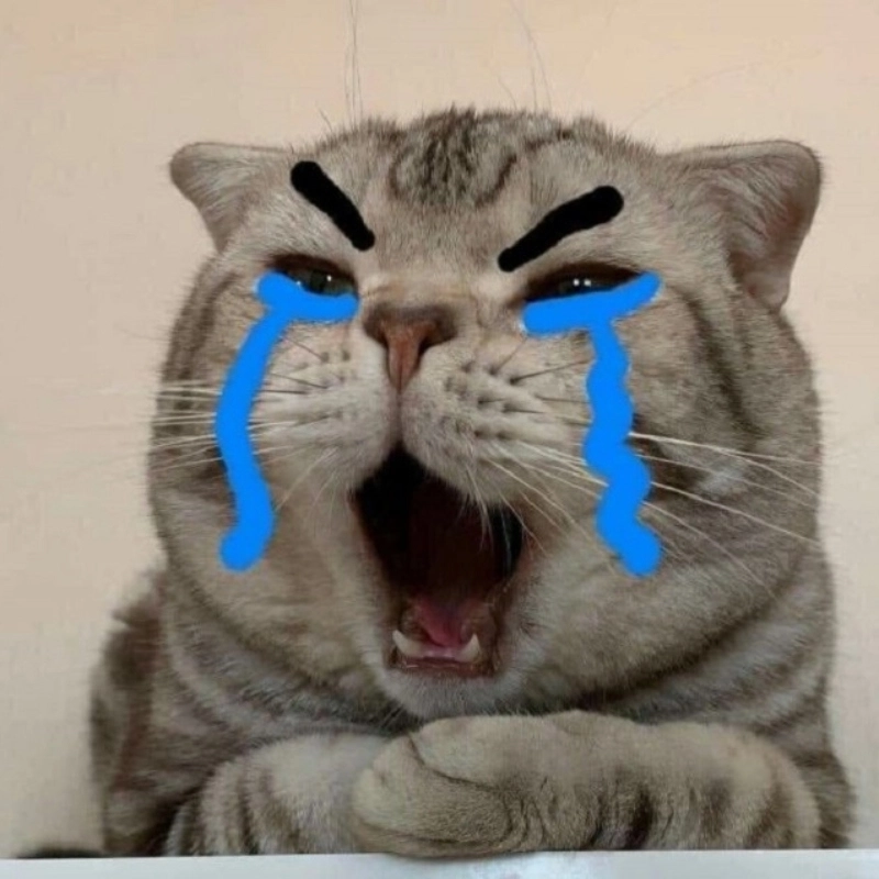 Buồn nhưng vẫn dễ thương với meme mèo cute khóc