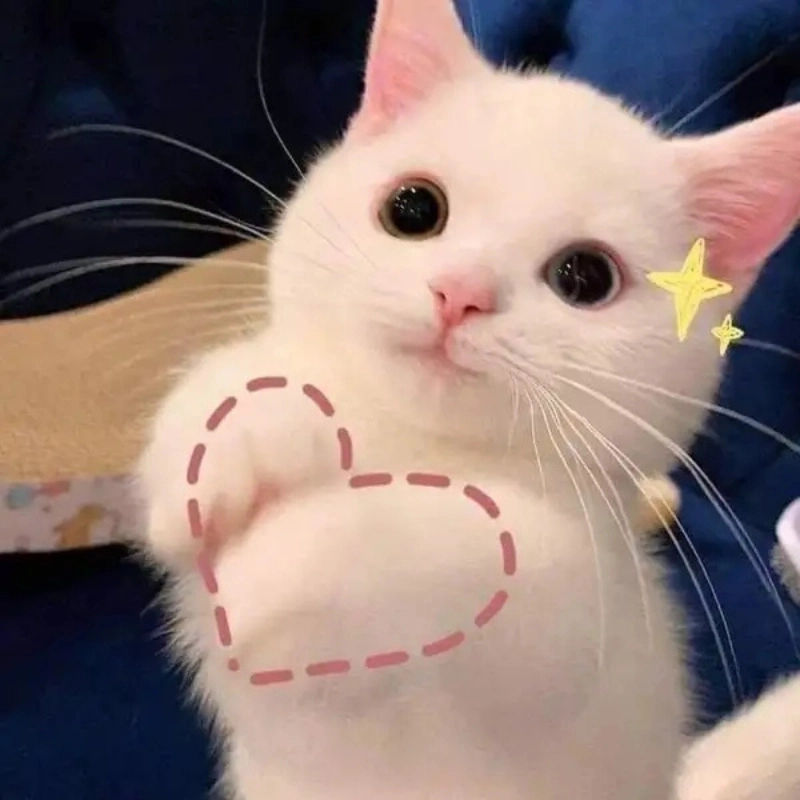 Ảnh thả tim meme sẽ khiến bạn cười nghiêng ngả với những tình huống siêu bựa