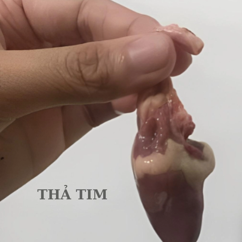 Thả tim chế cực bựa và hài hước, sẽ khiến bạn không thể nhịn cười