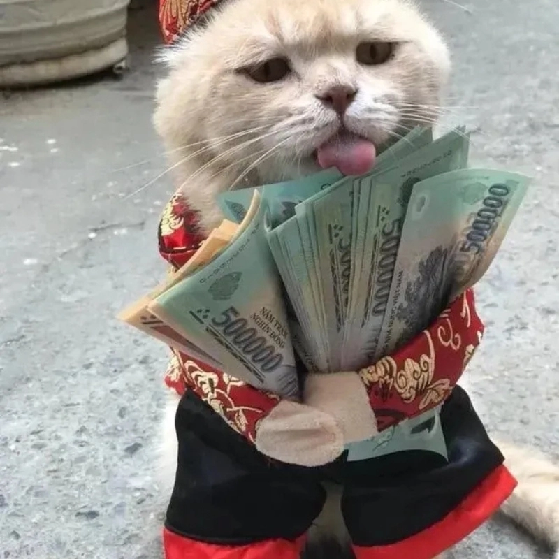 Cùng xem meme cầm tiền cực bựa và hài hước làm bạn không thể ngừng cười