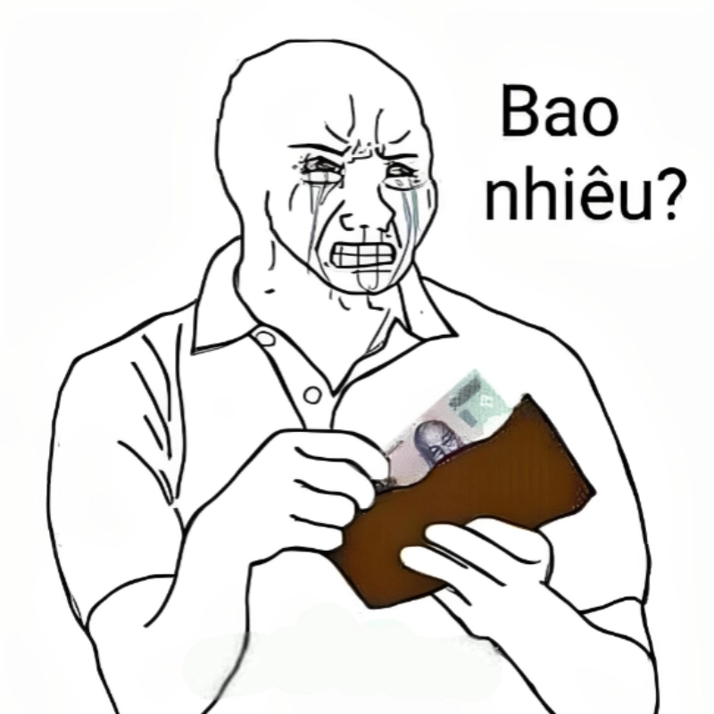 Bao nhiêu tiền meme là câu hỏi hài hước mà bạn không thể bỏ qua