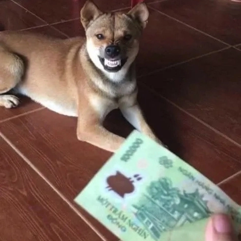 Meme tiền nè gây cười với những tình huống hài hước và bất ngờ