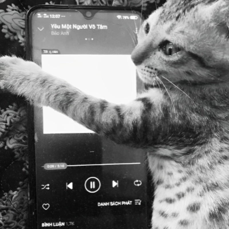 Meme yêu 1 người vô tâm đầy cảm xúc và chua xót