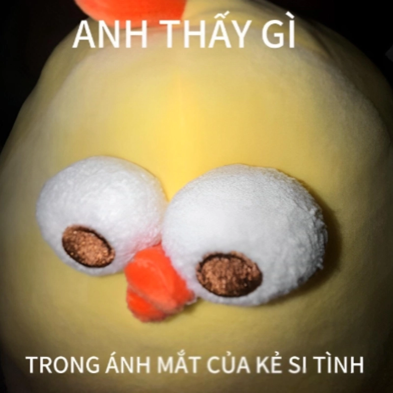 Meme si tình dành cho những ai yêu không lối thoát