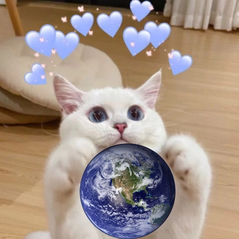 Meme tình yêu vũ trụ dành cho những tình yêu không biên giới