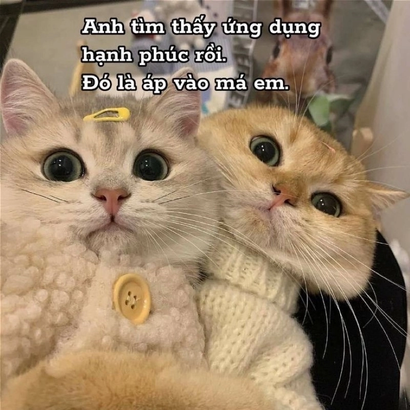 Meme tình yêu hài hước khiến bạn bật cười vì độ lầy lội