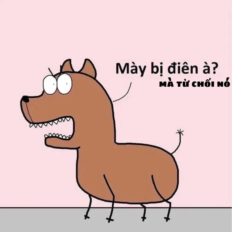 Meme bị từ chối cực kỳ hài hước và dễ thương, bạn không thể bỏ lỡ