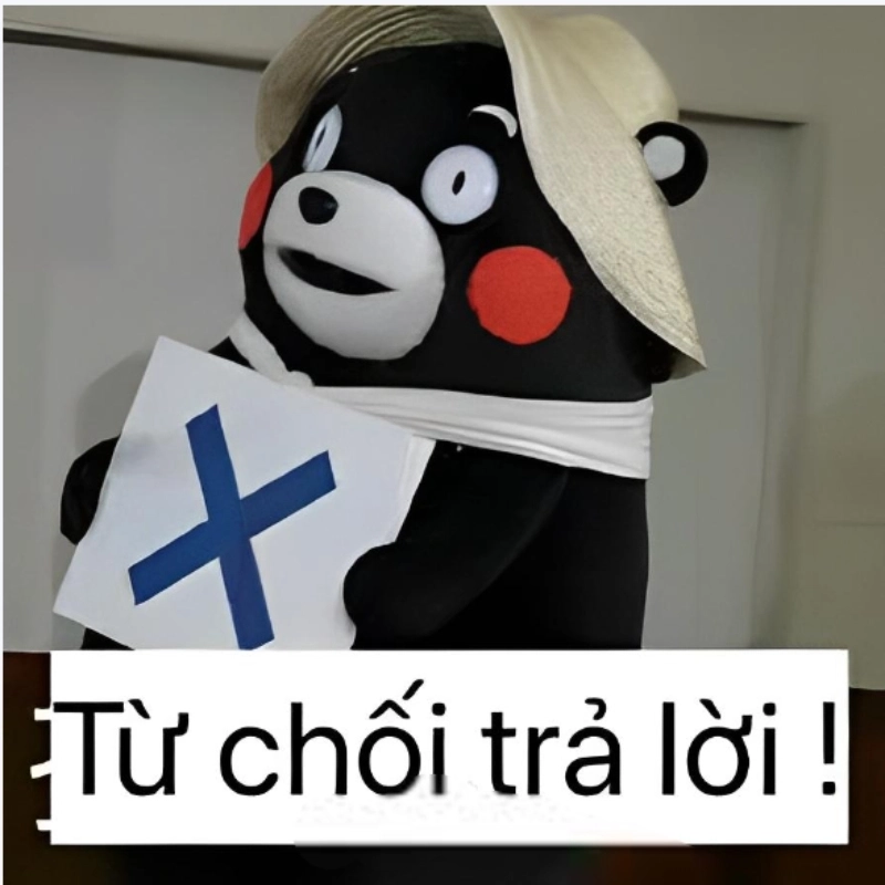 Meme từ chối trả lời cực kỳ dễ thương và vui nhộn, xem ngay để thư giãn