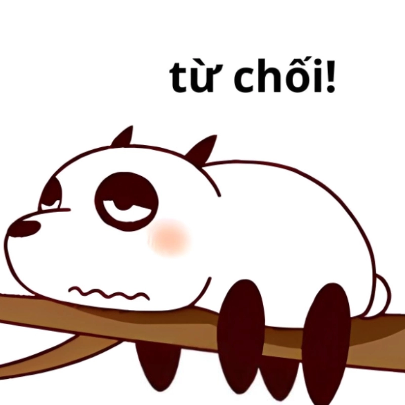 Ảnh meme từ chối khiến bạn phải cười sảng khoái với sự hài hước tuyệt vời