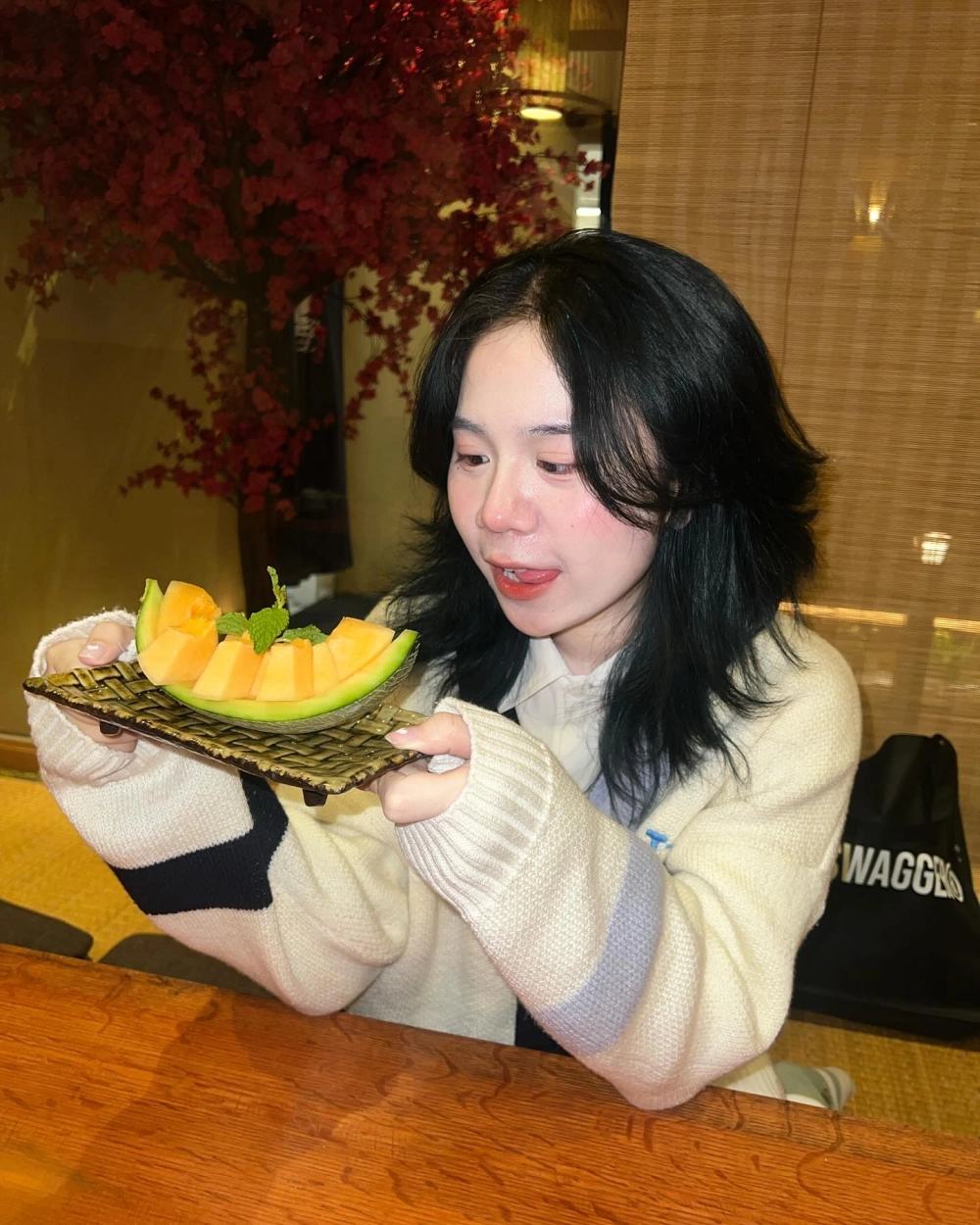 Mèo Simmy đi chơi và những chuyến du lịch đáng nhớ của cô nàng
