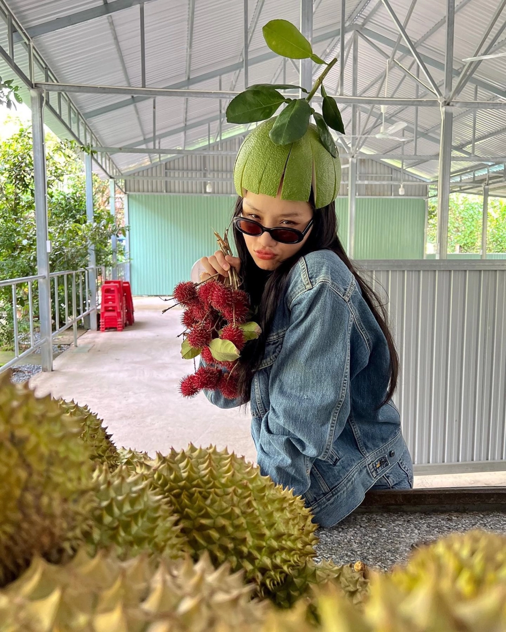 Thưởng thức nhạc miu lê với những giai điệu ấm áp và sâu lắng
