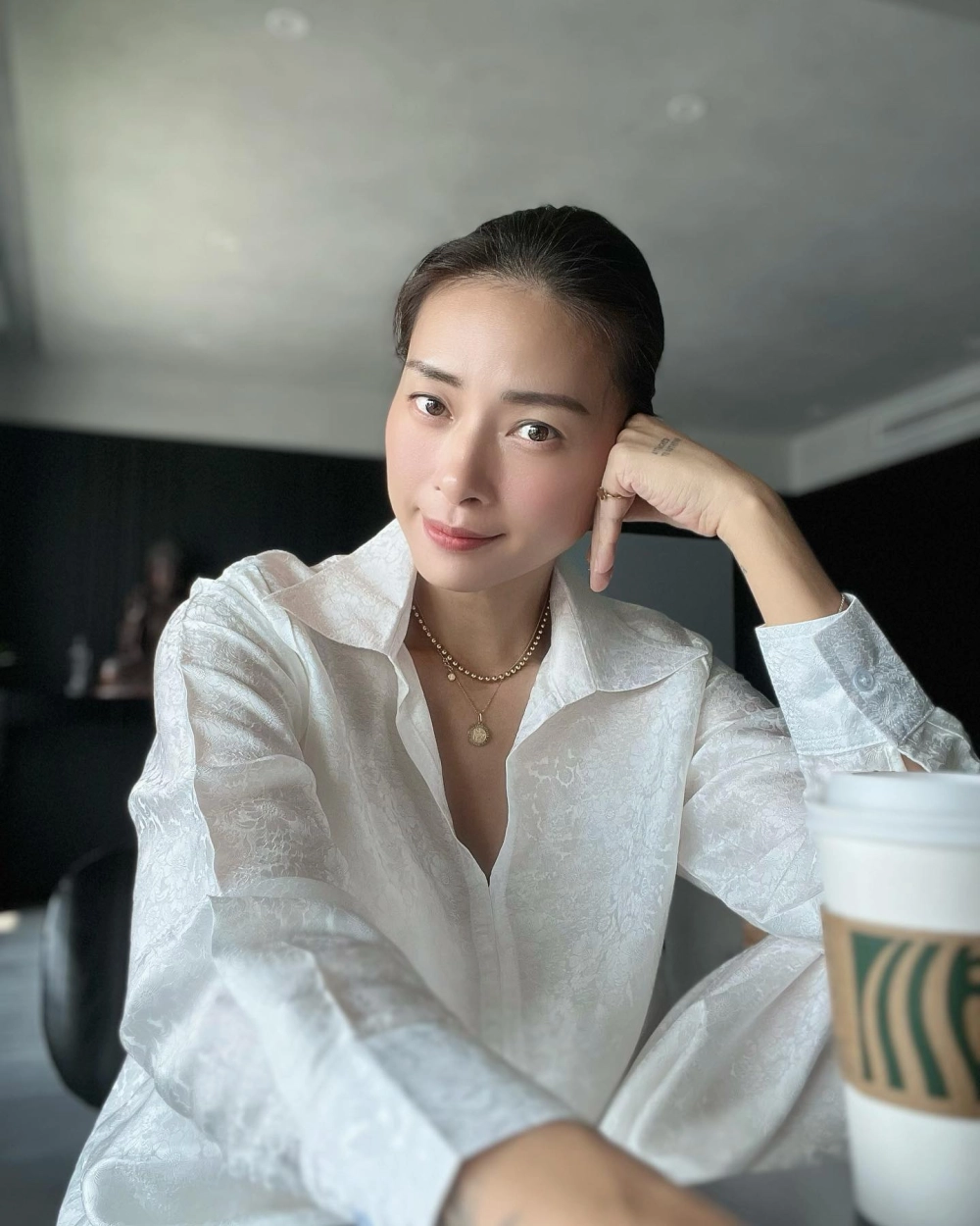 Tiểu sử về Ngô Thanh Vân