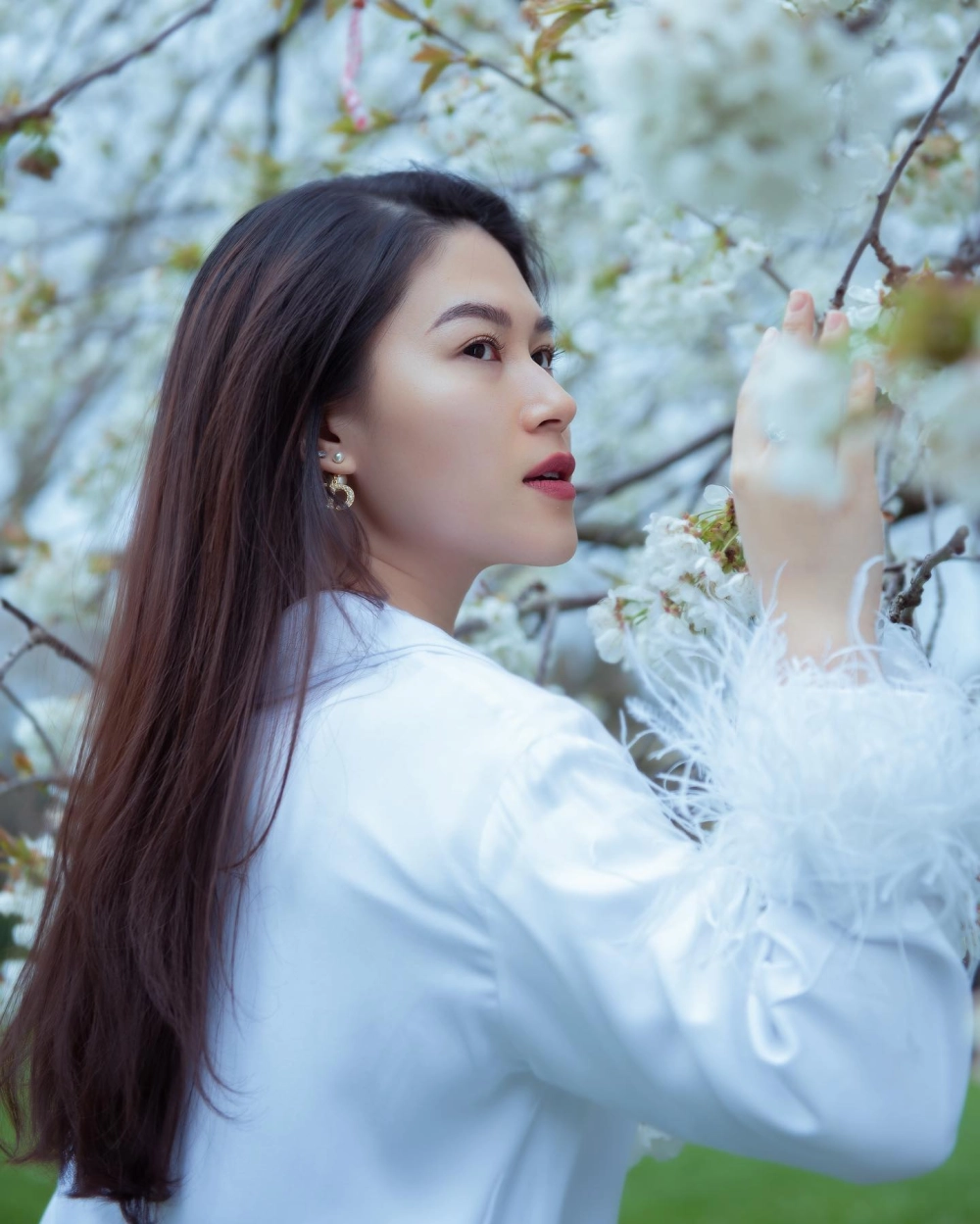 Khám phá các bộ phim Ngọc Thanh Tâm nổi bật và vai diễn gây ấn tượng của cô