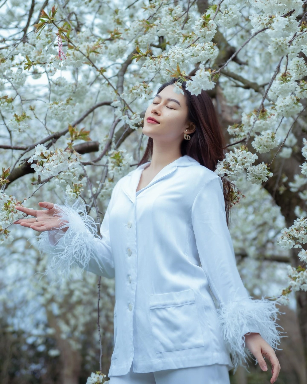 Tìm hiểu về diễn viên Ngọc Thanh Tâm và những bộ phim ấn tượng cô tham gia