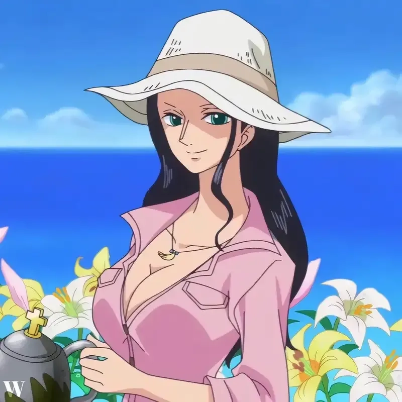 Nico Robin outfit thời trang đa phong cách qua từng arc