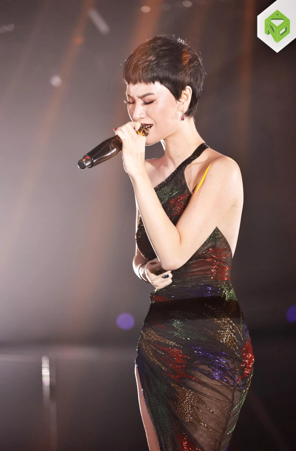 Cập nhật những thông tin mới nhất về trà my idol official qua các kênh truyền thông chính thức