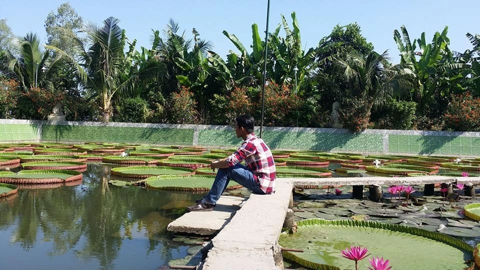 Hình ảnh chùa Lá Sen đẹp khiến du khách ngỡ ngàng