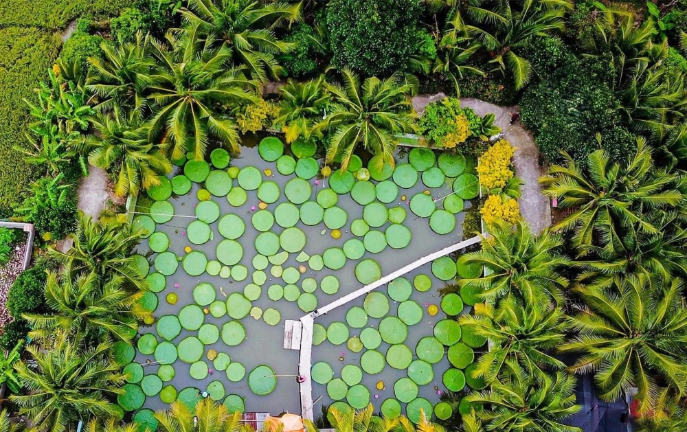 Chùa Lá Sen du lịch trải nghiệm không gian linh thiêng và yên bình