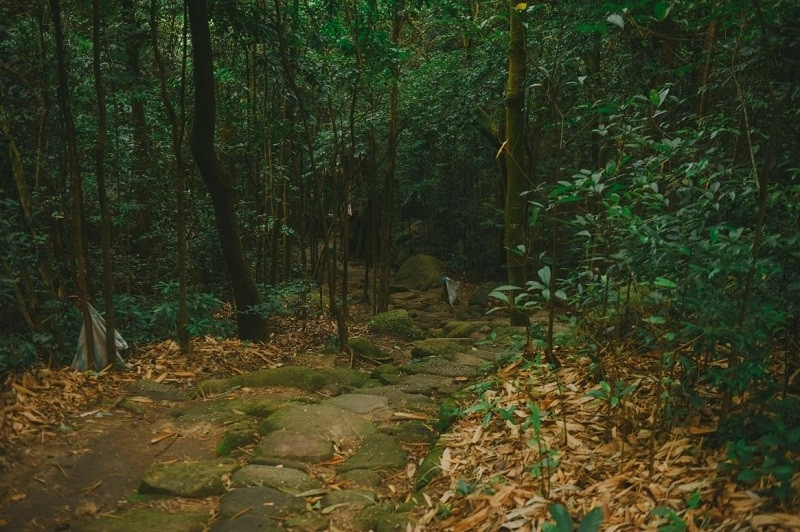 Lịch sử Chùa Lôi Âm ghi dấu truyền thuyết lâu đời