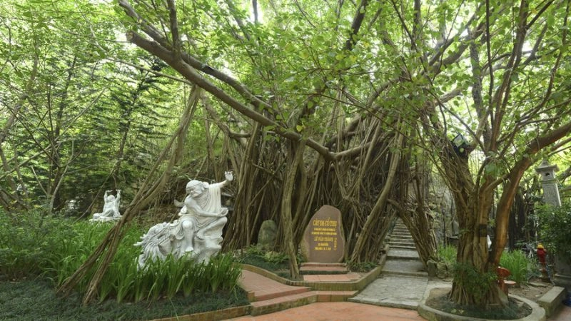 Khám phá di tích Bạch Đằng Giang với những câu chuyện bi tráng