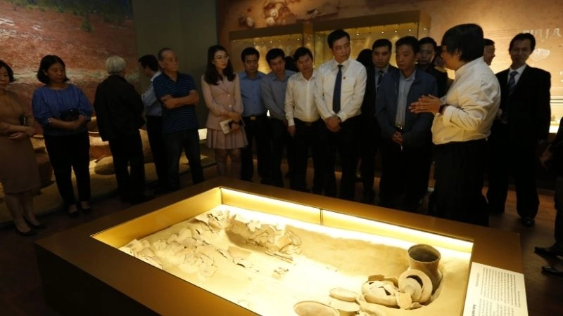 Bảo tàng Lịch sử Việt Nam mở cửa mấy giờ phục vụ tham quan