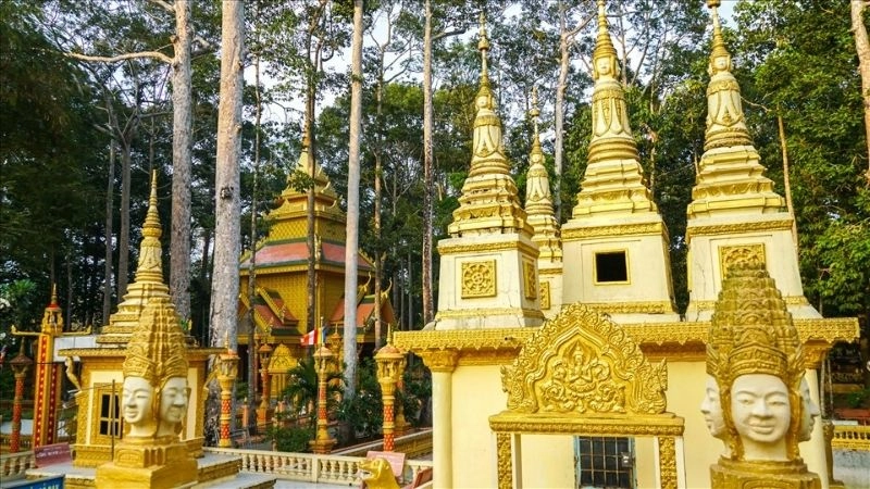 Thiên nhiên Chùa Âng Trà Vinh hòa quyện chốn linh thiêng