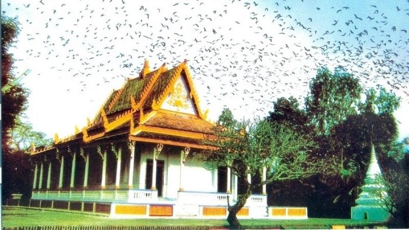 Trải nghiệm cá nhân khi thăm Chùa Dơi Sóc Trăng