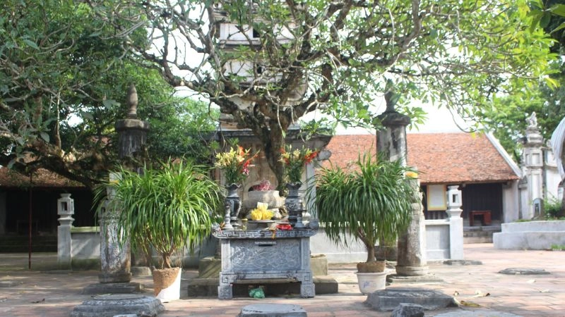 Trải nghiệm cá nhân khi thăm Chùa Phổ Minh 