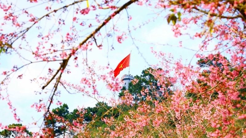 Cao nguyên đá Lũng Cú kỳ quan thiên nhiên hùng vĩ miền biên giới