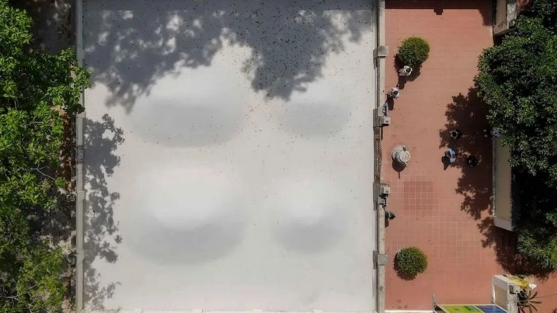 Du lịch Dinh Thầy Thím trải nghiệm văn hóa tín ngưỡng