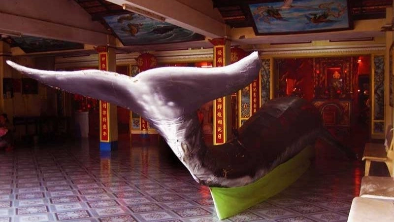 Ý nghĩa tên gọi Đình Thần Thắng Tam chứa đựng niềm tự hào dân tộc