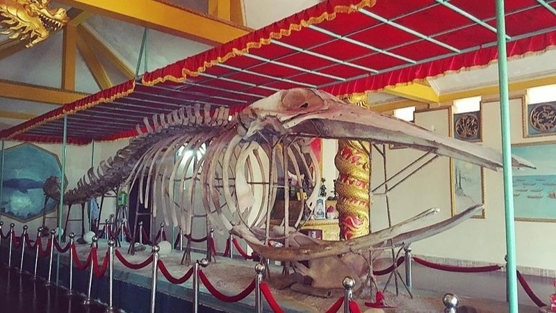 Đình Thần Thắng Tam ở đâu câu hỏi được nhiều người tìm kiếm