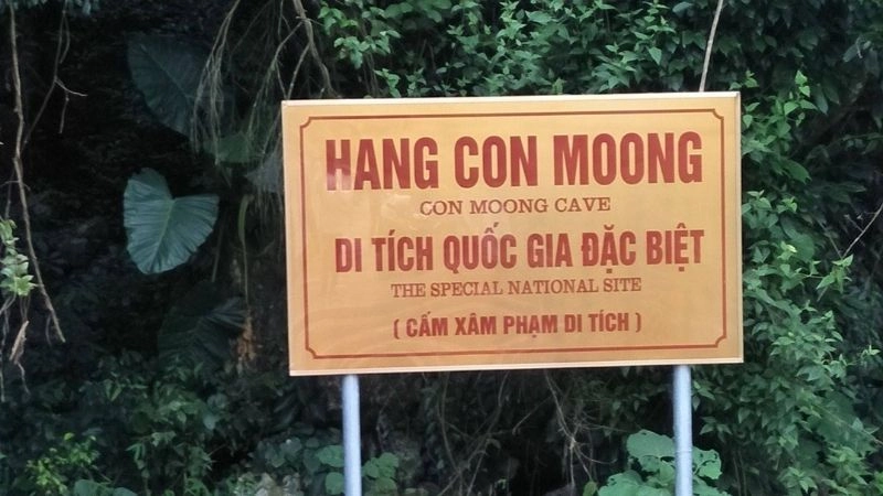 Lịch sử hình thành hang Con Moong qua hàng vạn năm