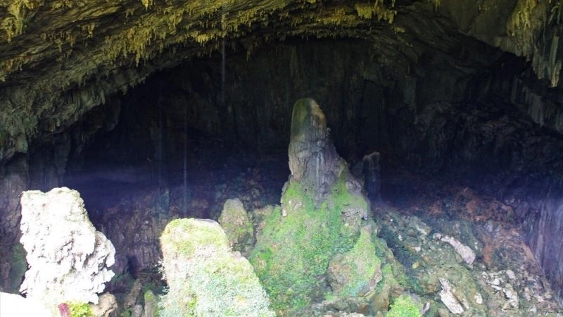 Vị trí hang Con Moong ở đâu giữa đại ngàn