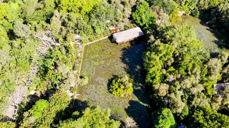 Hình ảnh Khu di tích Xẻo Quýt sinh động