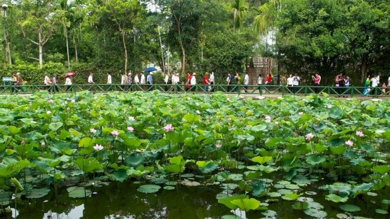 Làng Sen Nghệ An quê hương gắn bó với tuổi thơ Bác