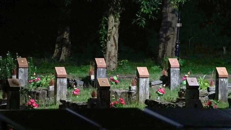 Lịch sử Nghĩa trang Hàng Dương gắn liền trang sử đấu tranh